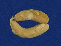 黃唇青斑海蛇藏品圖，第2張